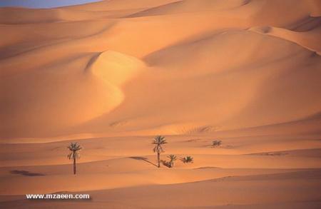 sahara